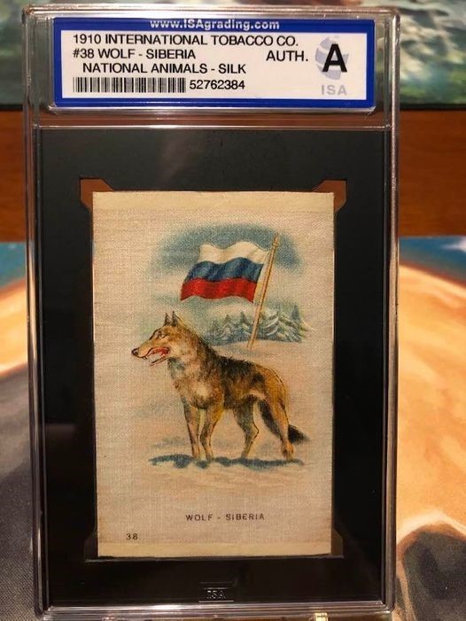 wolf silk.jpg