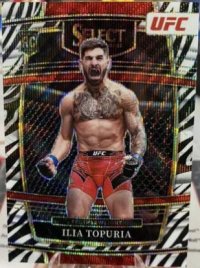 2022-ufc-zebra-prizm-ilia-topuria.JPG