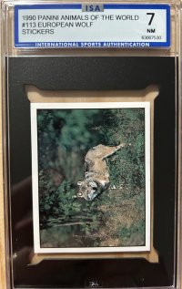 IMG_5951.jpeg