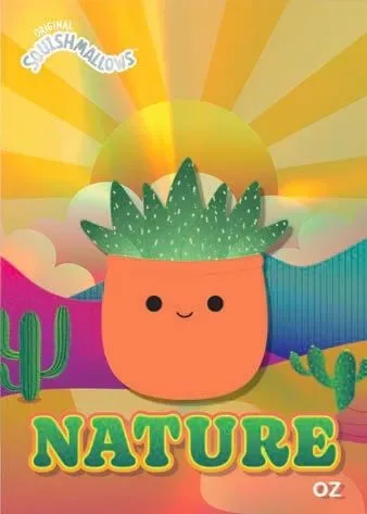 2025 Panini Squishmallows Trading Cards: Key Inserts & Parallels