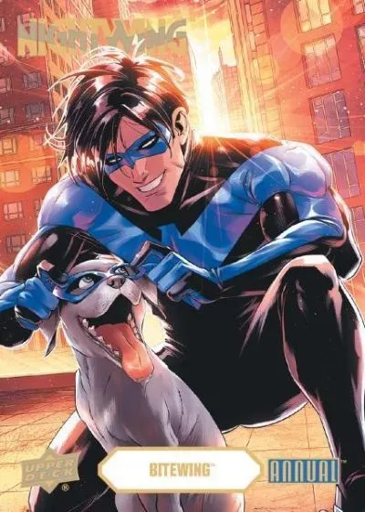 2024-25 Upper Deck DC Annual Trading Cards: New DC Heroes & Villains